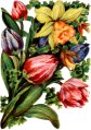 flowers02