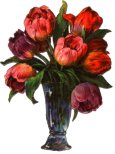 flower05