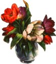 flower06